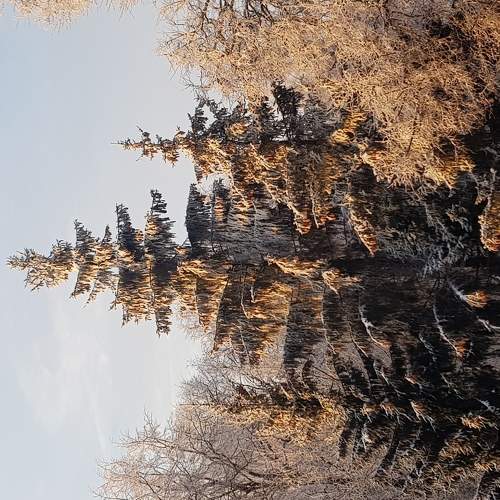 Photo #5675193