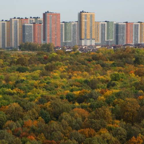 Остров