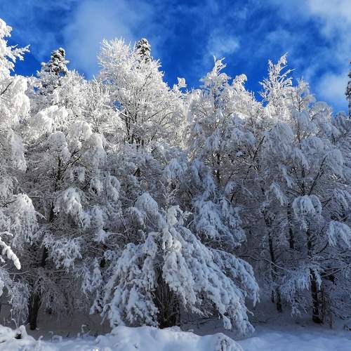 Winter in Gorski kotar