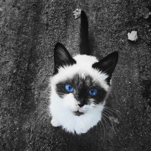 Photo #5675412