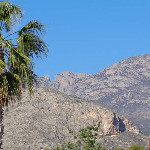Photo #5675496