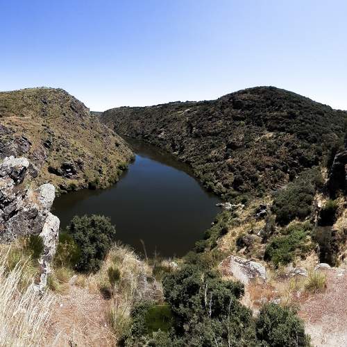 Photo #5675524