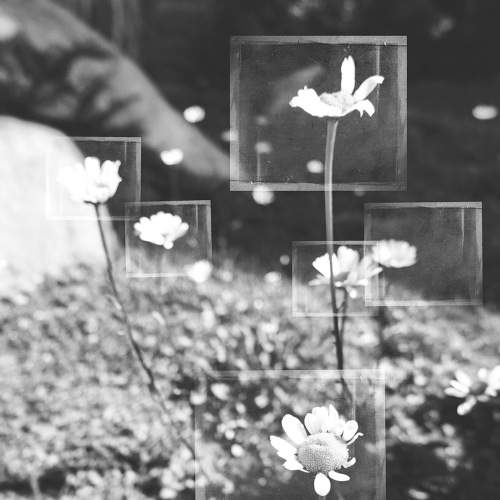 Photo #5675817