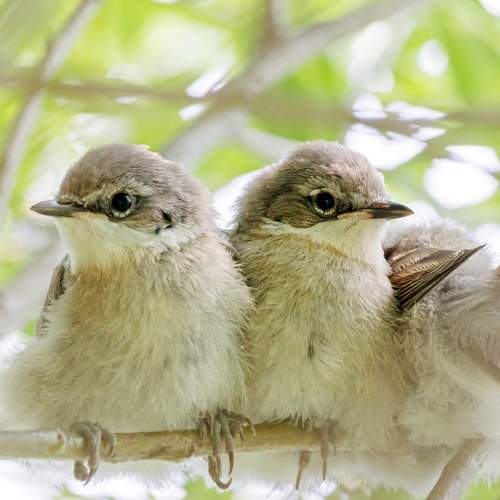 Photo #5675940