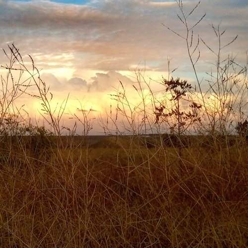Photo #5675998