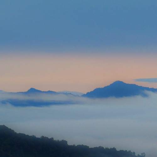 Photo #5676065