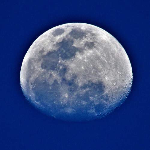 Photo #5676119
