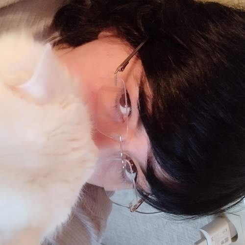 Photo #5676191