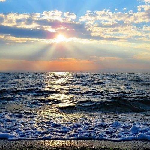 Photo #5676560