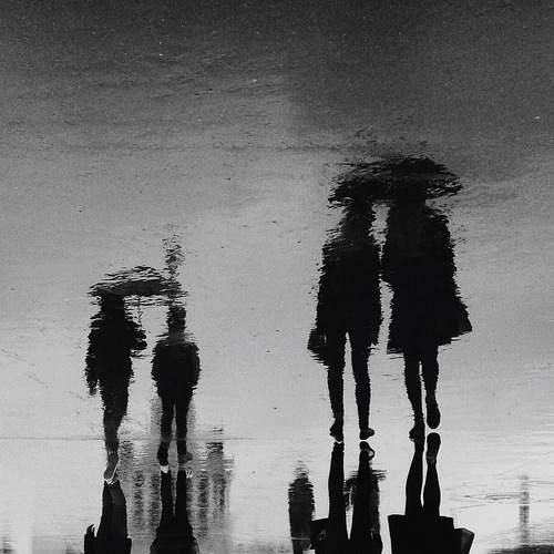 Photo #5676845