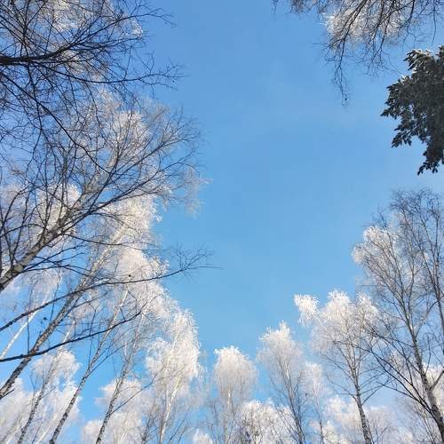 Photo #5677059