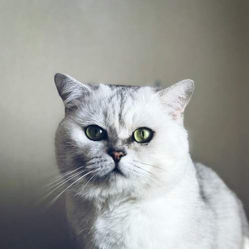 Photo #5677191