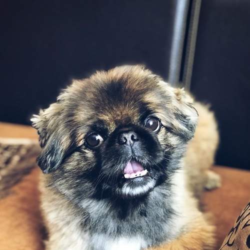 Photo #5677192