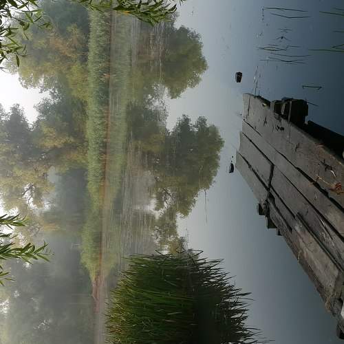 Photo #5677410