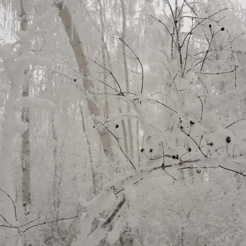 Photo #5677456