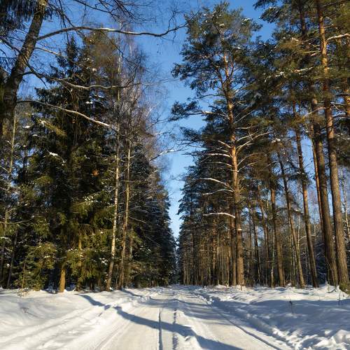 Photo #5677472