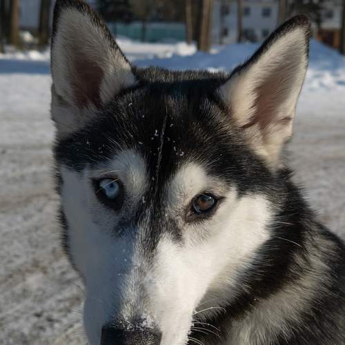 Photo #5677511