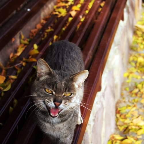 Photo #5677644
