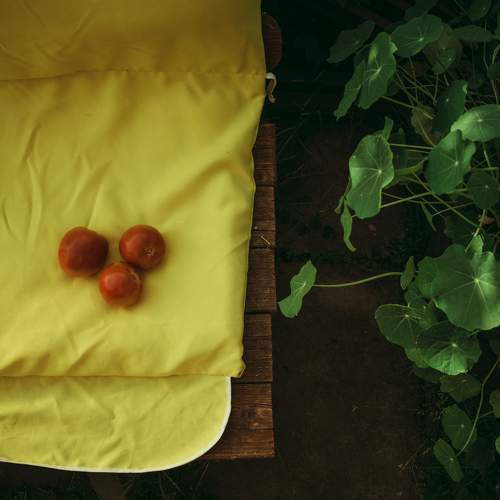 Photo #5677703