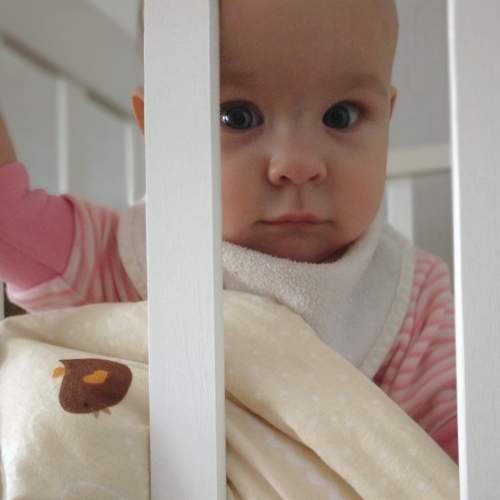Photo #5677919