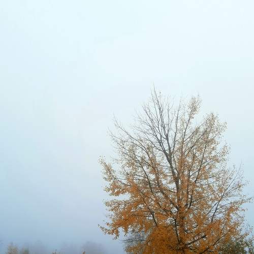 Photo #5677997