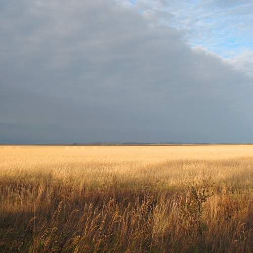 Photo #5678198
