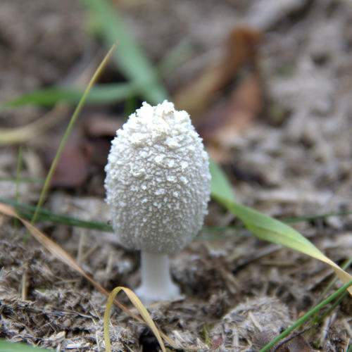 Photo #5678404