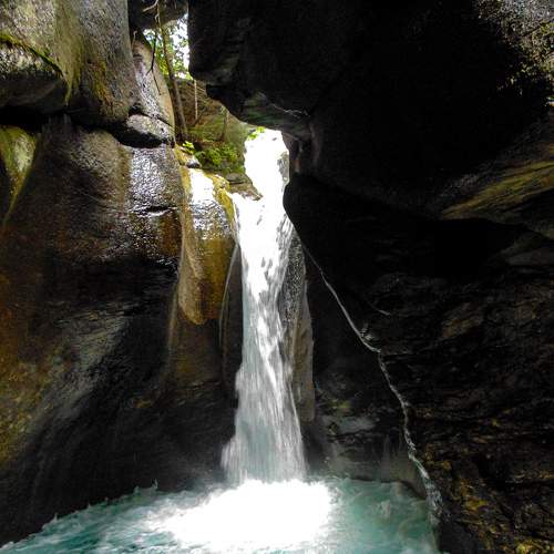 Photo #5678690