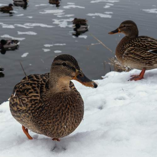 Photo #5678782