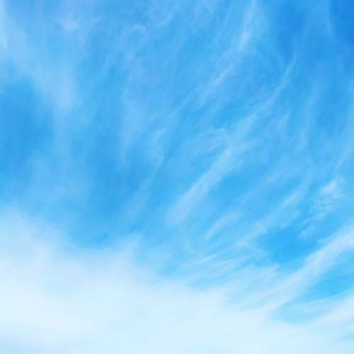 Photo #5678889