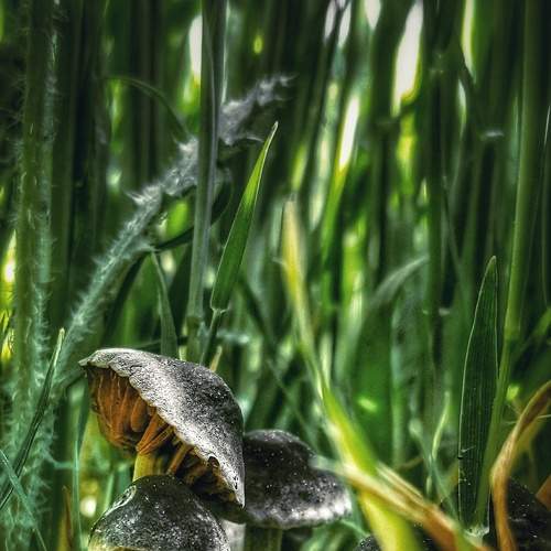 Photo #5679410