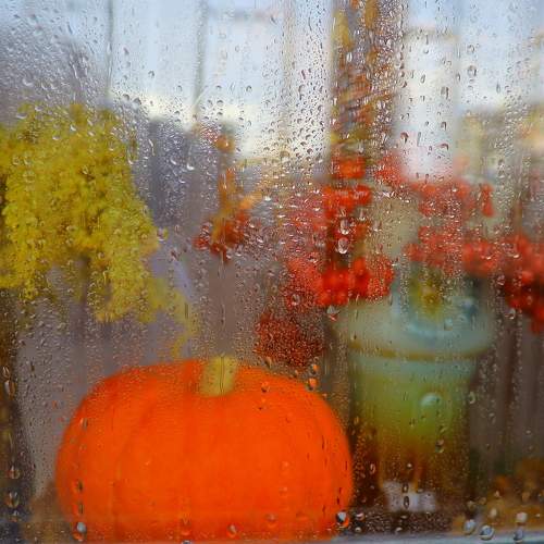 Photo #5679700