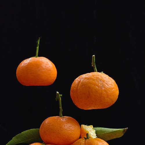 Photo #5679777
