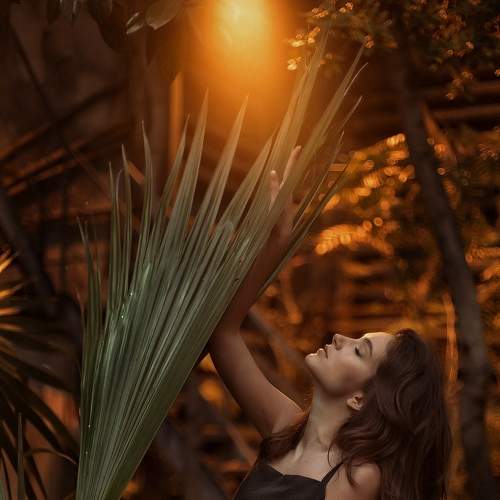 Фотография #5680327