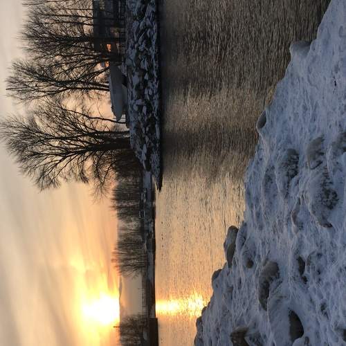 Photo #5680726