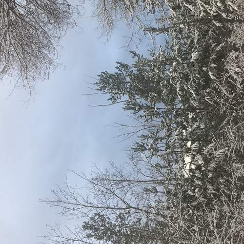 Photo #5680754