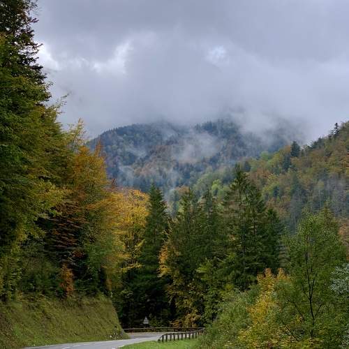 Photo #5681338