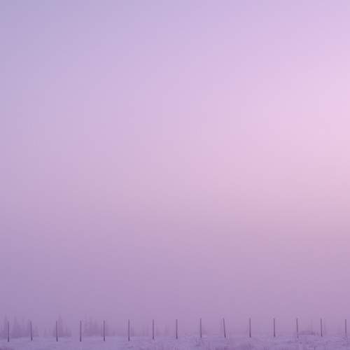 Photo #5681746