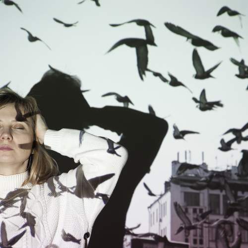 Photo #5681933