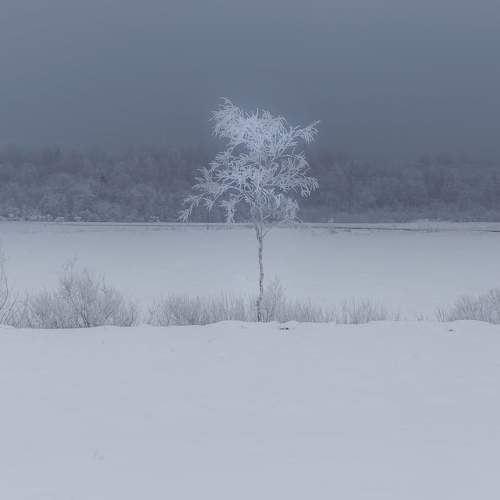 Photo #5682282