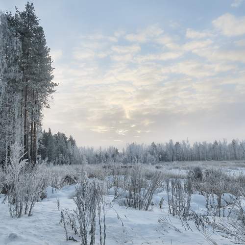 Photo #5682817