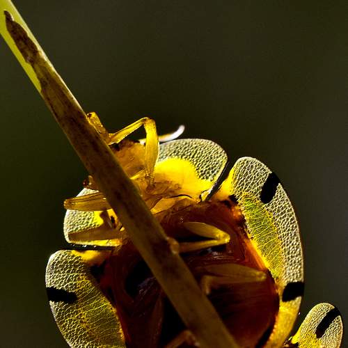 Photo #5682987