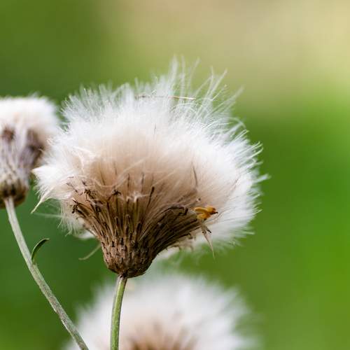 Photo #5683044