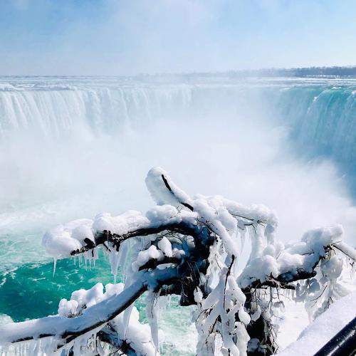 Photo #5683050
