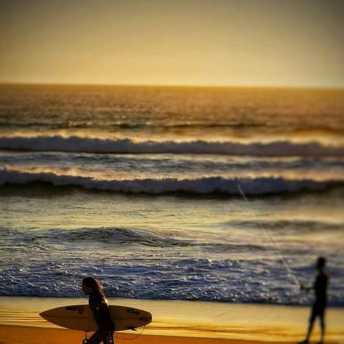 Photo #5683334