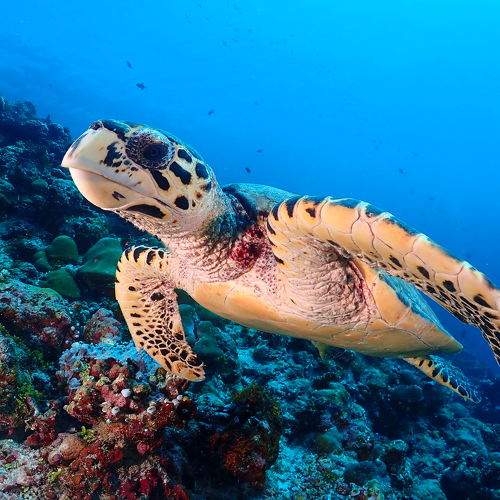Photo #5683354