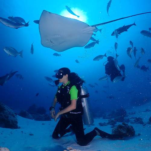 Photo #5683371