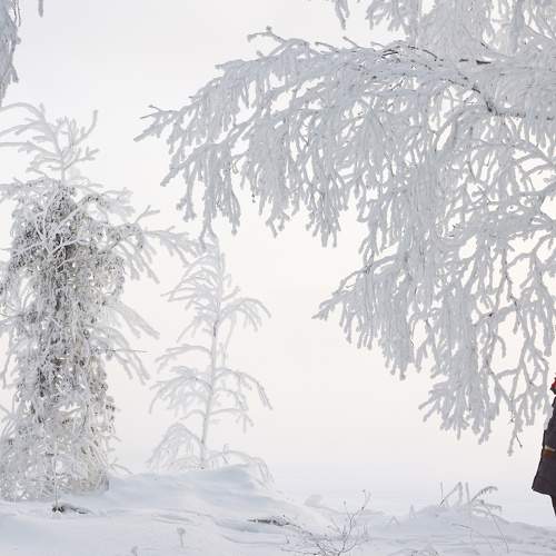 Photo #5683540