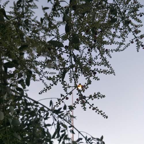 Photo #5683778