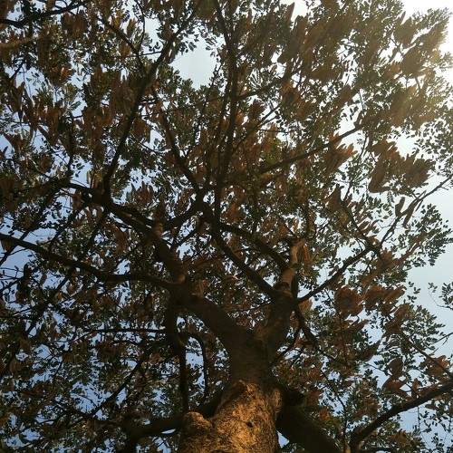 Photo #5683803